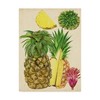 Trademark Fine Art Melissa Wang 'Tropical Pineapple Study I' Canvas Art, 14x19 WAG07092-C1419GG